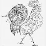 Teppich Knüpfen Vorlagen Luxus 32 Besten Hahn Vorlagen Bilder Auf Pinterest