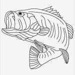 Teppich Knüpfen Vorlagen Luxus Sea Predator Striped Bass Fish Coloring Pages