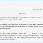 Testament Vorlage Alleinerbe Elegant Testament Muster Alleinerbe Schreibt Man Ein Testament