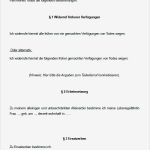 Testament Vorlage Alleinerbe Genial Einzel Testament Paket sofort Download