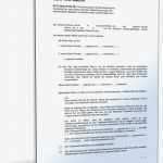 Testament Vorlagen Lebenspartner Beste Beliebte Downloads • Testamente Dokumente &amp; Vorlagen