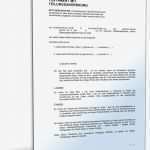 Testament Vorlagen Lebenspartner Gut Beliebte Downloads • Testamente Dokumente &amp; Vorlagen