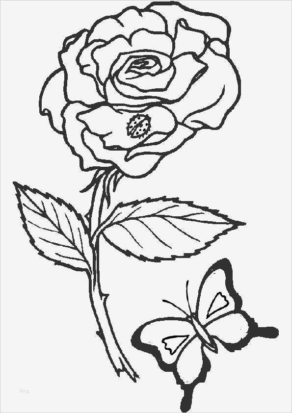 Testament Vorlagen Zum Ausdrucken Fabelhaft Ausmalbilder Blumen 2