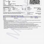 Ticket Vorlage Zum Bearbeiten Wunderbar Line Ticket