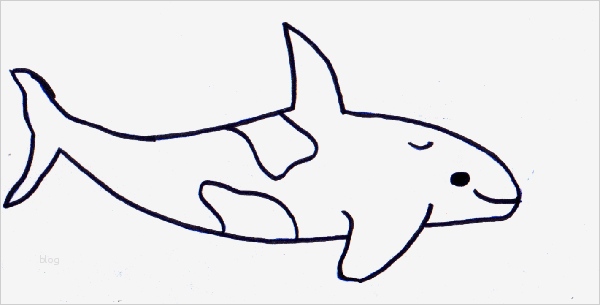 Tiere Kneten Vorlagen Wunderbar Malvorlagen Tiere Wal Mamas and More Von Mamas Für Mamas