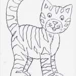 Tiere Malen Vorlagen Beste Katze Ausmalbild – Ausmalbilder Für Kinder