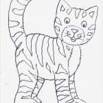 Tiere Malen Vorlagen Cool Die Besten 25 Ausmalbilder Hunde Ideen Auf Pinterest