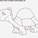 Tiere Malen Vorlagen Cool Großzügig Vorlagen Von Tieren Zeitgenössisch Entry Level