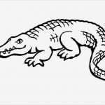 Tiere Malen Vorlagen Einzigartig Ausmalbilder Für Kinder Malvorlagen Und Malbuch • Afrika