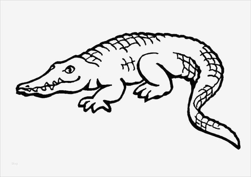 Tiere Malen Vorlagen Einzigartig Ausmalbilder Für Kinder Malvorlagen Und Malbuch • Afrika