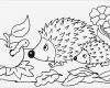 Tiere Malen Vorlagen Elegant Ausmalbilder Tiere Igel 979 Malvorlage Tiere Ausmalbilder