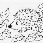 Tiere Malen Vorlagen Elegant Ausmalbilder Tiere Igel 979 Malvorlage Tiere Ausmalbilder