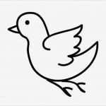 Tiere Malen Vorlagen Erstaunlich Kostenlose Malvorlage Tiere Vogel Zum Ausmalen Zum