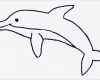 Tiere Malen Vorlagen Genial Malvorlagen Tiere Delfin Mamas and More Von Mamas Für