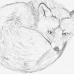 Tiere Malen Vorlagen Genial Pin Malen Tiere Vorlagen Ajilbab Portal On Pinterest