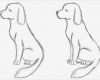Tiere Malen Vorlagen Großartig Die Besten 17 Ideen Zu Hund Zeichnungen Auf Pinterest