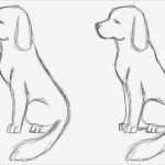 Tiere Malen Vorlagen Großartig Die Besten 17 Ideen Zu Hund Zeichnungen Auf Pinterest