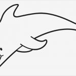 Tiere Malen Vorlagen Gut Ausmalbild Tiere Lächelnder Delfin Kostenlos Ausdrucken
