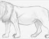 Tiere Malen Vorlagen Gut Einen Löwen Zeichnen Lernen