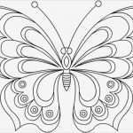 Tiere Malen Vorlagen Inspiration Schmetterling Malvorlage 04 Anleitungen