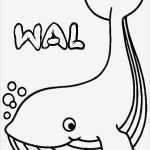 Tiere Malen Vorlagen Luxus Ausmalbilder Tiere 03