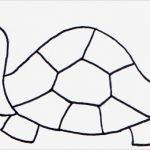 Tiere Malen Vorlagen Schönste Malvorlagen Tiere Schildkröte Mamas and More Von