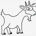 Tiere Malen Vorlagen Wunderbar Malvorlagen Tiere Wuschels Malvorlagen