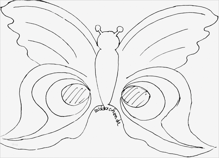 Tiermasken Basteln Vorlagen Schön Bastelndsaction – Basteln – Masken Auf Tiermasken