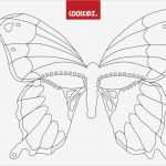 Tiermasken Vorlagen Erstaunlich Kindermasken Basteln