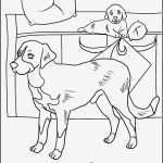 Tierschutzvertrag Hund Vorlage Angenehm Malvorlagen Von Hunden Kostenlose Hund Vorlage Zum