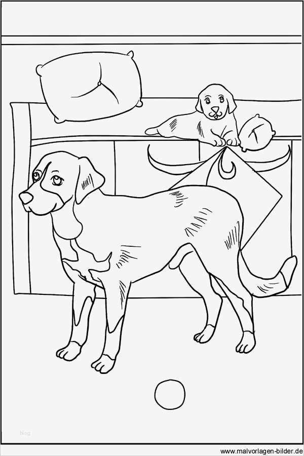 Tierschutzvertrag Hund Vorlage Angenehm Malvorlagen Von Hunden Kostenlose Hund Vorlage Zum
