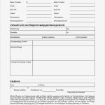 Tierschutzvertrag Hund Vorlage Wunderbar Kaufvertrag Hund Download