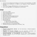 Topsim Excel Vorlagen Planspiel Angenehm tolle Verantwortlichkeitsmatrix Vorlage Fotos Entry