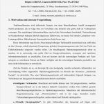 Topsim Excel Vorlagen Planspiel Wunderbar Berühmt Vorlagenanalyse Beispiel Bilder Entry Level