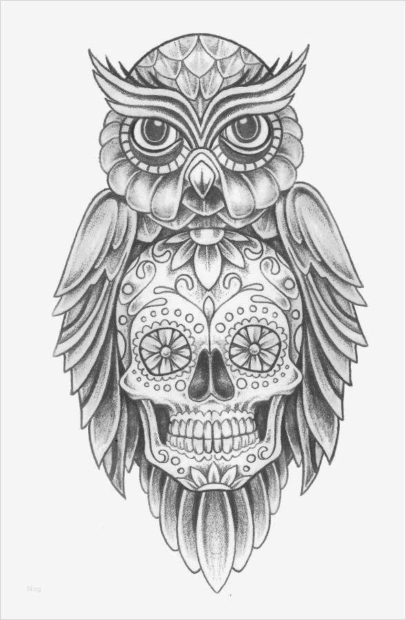 Totenkopf Tattoo Vorlage Genial Die 25 Besten Ideen Zu Tattoo Vorlagen Auf Pinterest