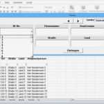 Tourenplanung Excel Vorlage Erstaunlich Groß Kundendatenbank Vorlage Excel Zeitgenössisch Entry
