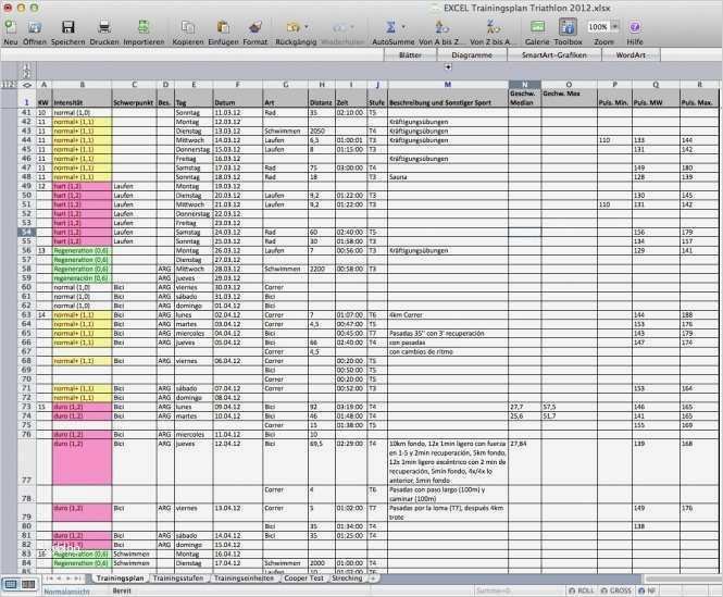 Trainingsplan Erstellen Vorlage Erstaunlich tolle Trainingsplan Vorlage Bilder Entry Level Resume