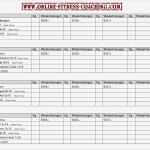Trainingsplan Pdf Vorlage Angenehm Wendler 5 3 1 Erfahrungsbericht Mein Trainingsplan