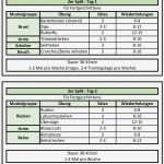 Trainingsplan Pdf Vorlage Best Of Kraftstation Trainingsplan