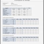 Trainingsplan Pdf Vorlage Cool Trainingsplan Muskelaufbau Anfänger Fitnessstudio Frauen