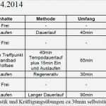 Trainingsplan Pferd Vorlage Beste Erfreut Fußball Trainingsplan Vorlage Fotos Entry Level