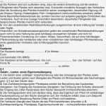 Trainingsplan Pferd Vorlage Cool Niedlich Pferd Verkauf Vertragsvorlage Zeitgenössisch