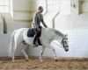 Trainingsplan Pferd Vorlage Elegant Muskeln Wachsen Durch Training Bei Cavallo