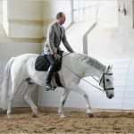 Trainingsplan Pferd Vorlage Elegant Muskeln Wachsen Durch Training Bei Cavallo