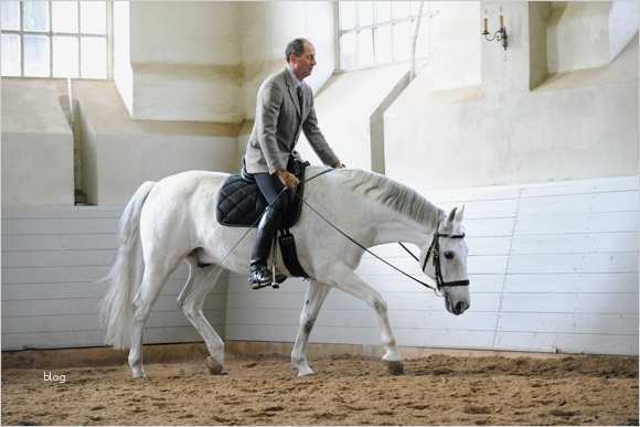 Trainingsplan Pferd Vorlage Elegant Muskeln Wachsen Durch Training Bei Cavallo