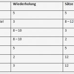 Trainingsplan Pferd Vorlage Erstaunlich Berühmt Fitnessstudio Trainingsprogramm Vorlage Galerie