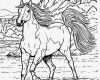 Trainingsplan Pferd Vorlage Hübsch 20 Kinder Ausmalbilder