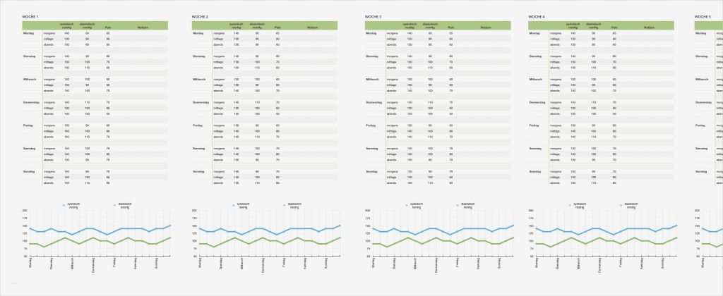 Trainingsplan Pferd Vorlage Schönste Wunderbar Trainingsplan Vorlage Ideen Vorlagen Ideen