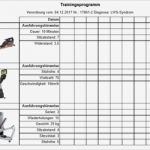 Trainingsplan Vorlage Luxus Wunderbar Trainingsplan Vorlage Zeitgenössisch Bilder