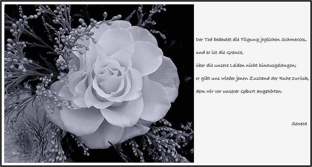 Trauerkarte Vorlage Hübsch Trauerkarte Trost 89 898 Klicks Foto & Bild